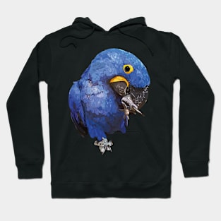 Hyacinth macaw Hoodie